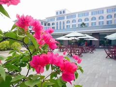 -厦门悦华酒店