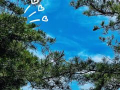 -洛阳白云山景区