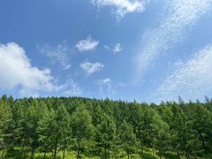 -塞罕坝国家级自然保护区