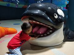 -青岛嘉年华主题乐园