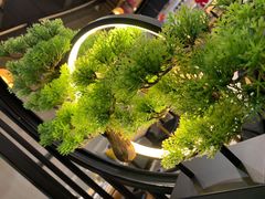 -喜上喜鸡煲翅(吉大店)