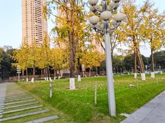 -重庆市江北嘴中央商务区中央公园