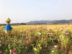 -天女山森林公园