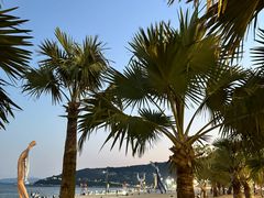 -大梅沙海滨公园