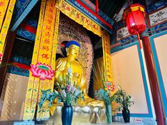 -北京凤凰岭