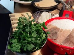 -辣伍鲜毛肚老火锅(元一店)