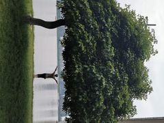 -宝岛公园