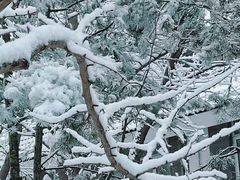 -德胜公园