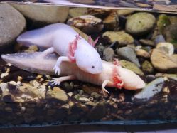 -Zoolung Zoolung动物主题公园(海信广场店)