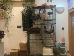 -东土食研所(渔港路店)