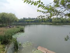 -北坞公园