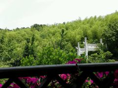 android_upload_pic-旺山·浪头人家