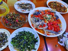 -全乐鱼馆·淳牌有机鱼直营店