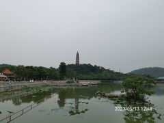 -顺峰山公园