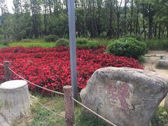 -贵阳市花溪国家城市湿地公园