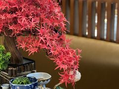 -千寻山野烤肉(中关村店)