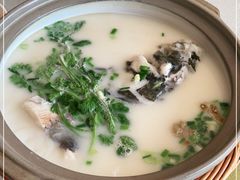 -天乐农家鱼头王(天目湖店)