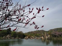 -白马涧龙池景区