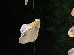 -崖口红树林海鲜餐厅