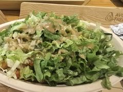 -油梨树 AVOCADO TREE(亮马桥店)