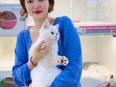 -lincat·猫舍(广州店)