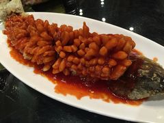 刘胖子家常菜(兴业店)-刘胖子家常菜·蹄花焖藕(兴业店)