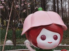 -顾村公园