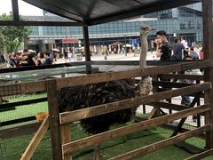 -大族广场Mall&More