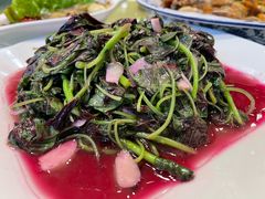 清炒米苋-启东海鲜人家(古美路店)