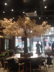 -简影造型·自选烫染接发salon
