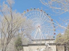 -青城公园
