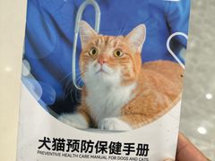 -艾贝尔宠物医院·宠保定点·超声绝育·免疫点(樱花路店)