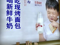 -红星前进面包牛奶公司(五道口购物中心店)