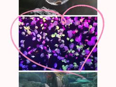 -珠海长隆海洋王国