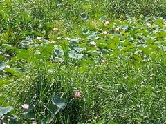 -龙环葡韵住宅式博物馆