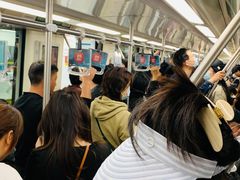 -东方体育中心(地铁站)