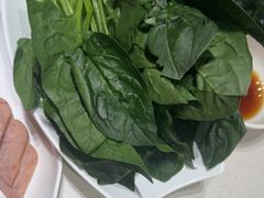-蝎王府羊蝎子(北大地店)