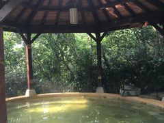 -天目湖涵田半山温泉