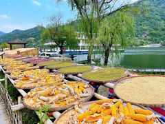 -新安江山水画廊风景区
