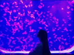 -沈阳海洋探索中心