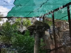 -沈阳森林动物园
