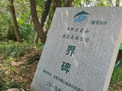 -大蜀山国家森林公园