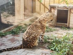 -青藏高原野生动物园