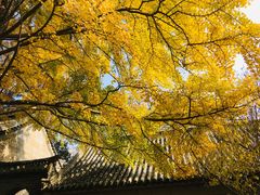 -青岛崂山太清宫
