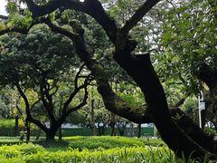 -荔香公园