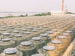 -厨邦酱油文化博览馆