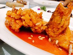松鼠桂花鱼-申宴酒楼(王子百货店)