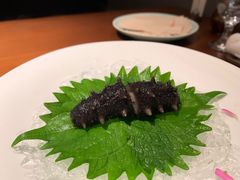 -觀芷隐轩