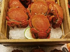 -安蒂娅·海鲜自助餐厅(安蒂娅美兰酒店)