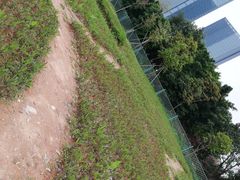 -海珠儿童公园